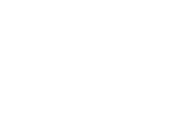 luna-logo-transparent